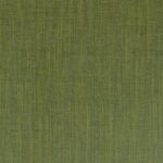 Aigrette Prairie