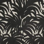 Guyane Anthracite