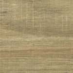 Miltech Rovere Bruges DVB