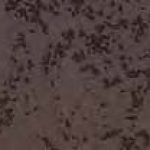 Oxide Corten