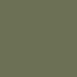 Verde Kiwi 1013