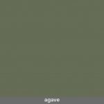 Agave
