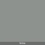 Brina