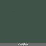 Muschio