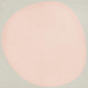 Futura Drop Rose