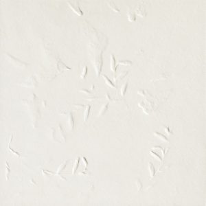 Chymia Impronta White blanc