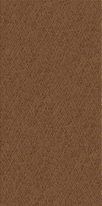 SKIN BRONZE