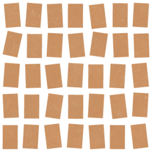 Boogie Terra