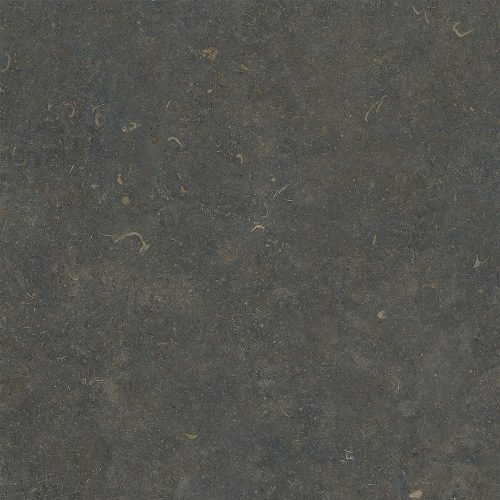 Coloris Classic