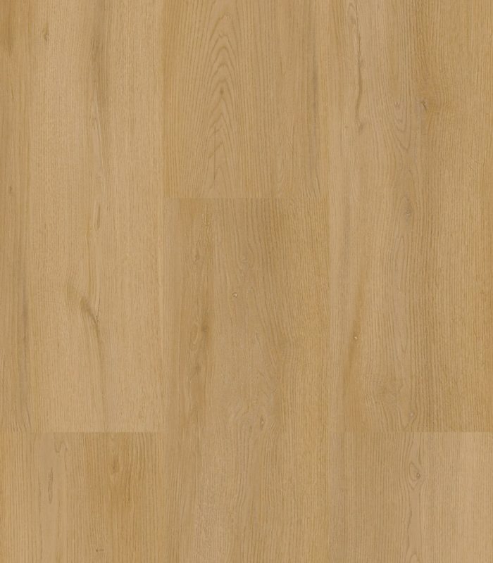 Lipra sol PLEASURE 0.55 coloris Rovere Savona Sabbia