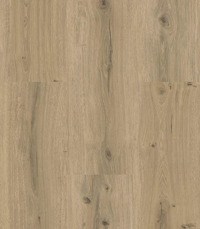Lipra sol PLEASURE 0.3 coloris Rovere Royal Grigio